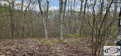 /international/us/id40-greenbriar-ct-holladay-tn-110098572142/