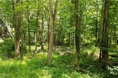 /international/us/township-road-1151-nova-oh-110100798988/?lang=en