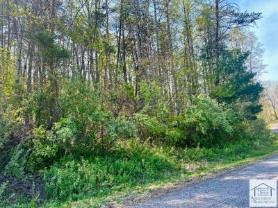 /international/us/pine-knoll-farms-loop-lot-39-stuart-va-110104412918/