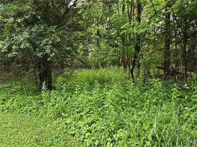 /international/us/sims-lane-cazenovia-ny-110100392178/?lang=en