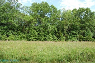/international/us/lakeview-drive-lot-67-heathsville-va-110104931259/