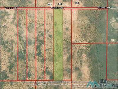 /international/us/tract-4a-merlinda-road-dexter-nm-110091605547/?lang=zh-tw
