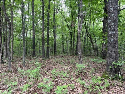 /international/us/12-acres-on-meadow-creek-dr-harrison-ar-110094080575/?lang=zh-cn