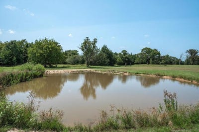 /international/us/2-07-acres-vz-county-road-3105-edgewood-tx-110098139774/