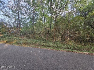 /international/us/river-rd-lot-96-kingston-tn-110110233349/