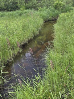 /international/us/15450-wildlife-trail-wolverine-mi-110108822552/