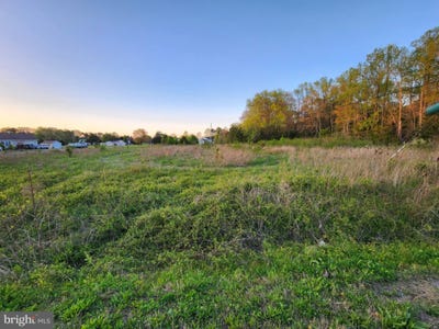 /international/us/lot-47c-bay-harbor-estates-heathsville-va-110098830816/?lang=zh-tw