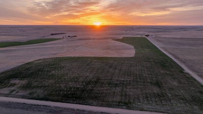 /international/us/0-cr-149-lodgepole-ne-110107408460/