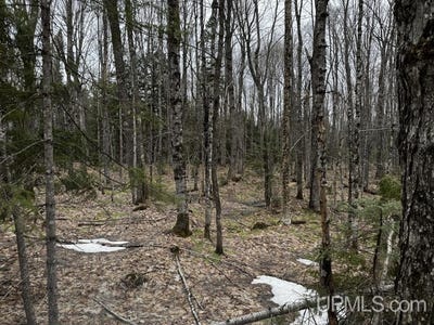 /international/us/motley-road-nisula-mi-110107989655/