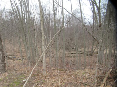 /international/us/williamsville-street-cassopolis-mi-110105950322/