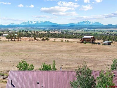 /international/us/1250-and-1248-county-road-42z-n-norwood-co-110108478681/