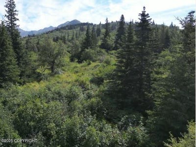 /international/us/l3-panoramic-circle-anchorage-ak-110102065559/