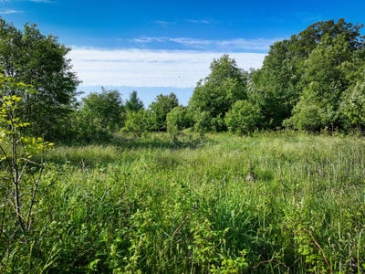 /international/us/lot-3-nelson-road-l-anse-mi-110100655597/?lang=zh-tw