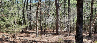 /international/us/461-d-kiamichi-wilderness-moyers-ok-ok-110099291549/?lang=zh-cn
