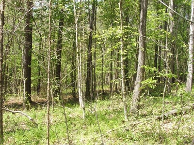 /international/us/637-saxkey-road-lot-saxe-va-110107784976/