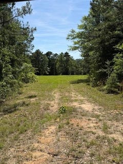/international/us/county-road-225-ozark-al-110108099159/