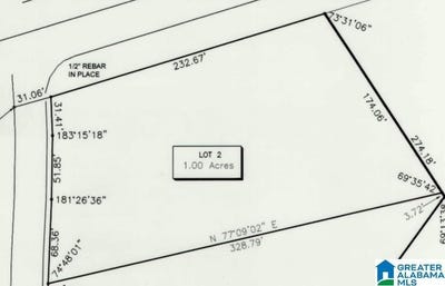 /international/us/25-hodgens-road-chelsea-al-110094586050/