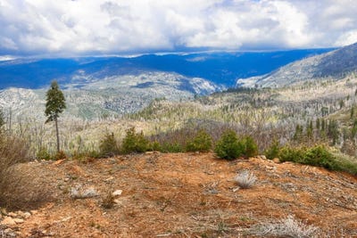 /international/us/7170-yosemite-park-way-yosemite-ca-110099183379/