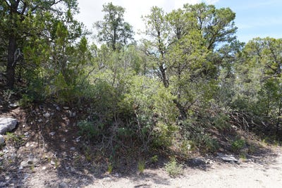/international/us/263-five-hills-drive-tijeras-nm-110101219460/?lang=zh-cn