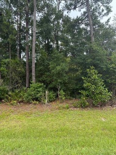 /international/us/ne-county-road-67-hosford-fl-110100796802/