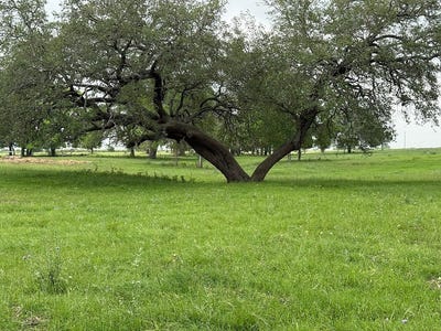 /international/us/5719-5-farm-to-market-road-2238-schulenburg-tx-110107895878/