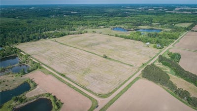 /international/us/orchard-street-braham-mn-110108474852/