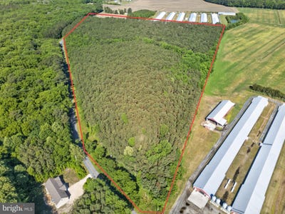 /international/us/johnson-neck-road-pocomoke-city-md-110108031673/