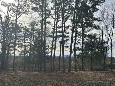 /international/us/polk-road-136-cove-ar-110104850137/