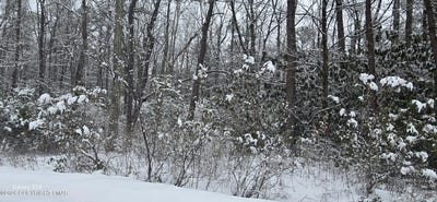 /international/us/beechwood-drive-jim-thorpe-pa-110105867530/