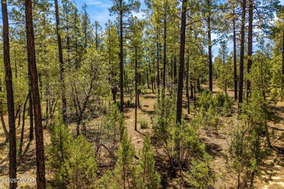 /international/us/tbd-s-hart-lake-lane-lakeside-az-110101168809/