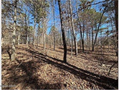 /international/us/000-whispering-pines-lane-licking-mo-110097743842/