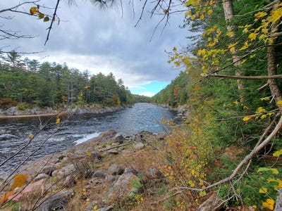 /international/us/friends-lake-road-chestertown-ny-110108062032/