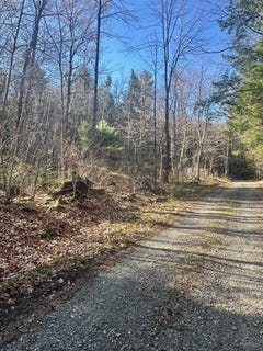 /international/us/hunter-brook-road-marlboro-vt-110107601917/