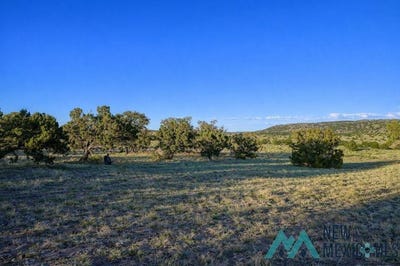 /international/us/158-a-deer-circle-road-quemado-nm-110106960963/