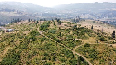 /international/us/254-glenwood-road-kamiah-id-110093670974/
