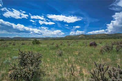/international/us/county-road-71-1-trinidad-co-110108067787/