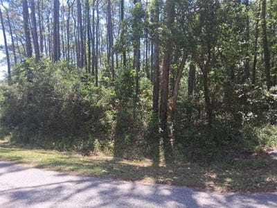 /international/us/1205-alabama-avenue-dauphin-island-al-110108152792/