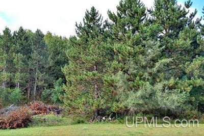 /international/us/sundance-drive-lot-3-4-norway-mi-110102799591/