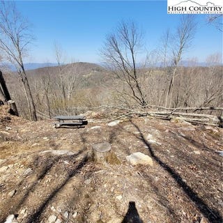 /international/us/159-w-blueberry-lane-beech-mountain-nc-110099199466/?lang=zh-tw