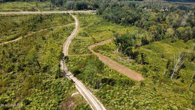 /international/us/1-highway-35-forest-ms-110102757086/
