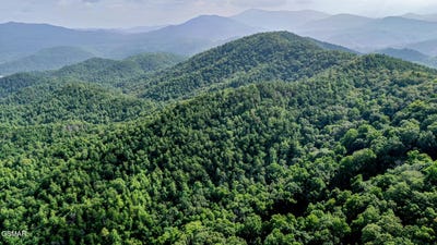 /international/us/bethel-church-road-townsend-tn-110105035282/