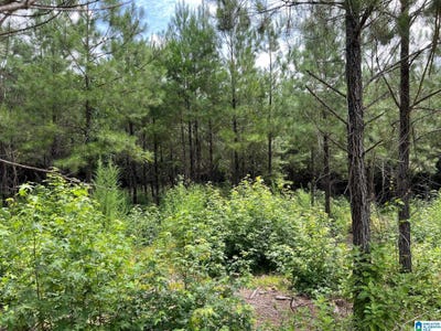 /international/us/00-cahaba-hill-road-brierfield-al-110101148336/?lang=zh-tw