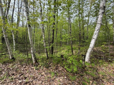 /international/us/peterson-road-lot-3-wascott-wi-110107995824/