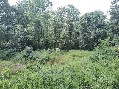 /international/us/1150-logan-hollow-road-morehead-ky-110101402114/?lang=zh-tw