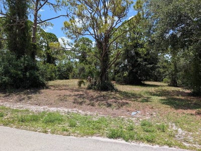 /international/us/1420-bradley-ave-lake-placid-fl-110108987935/