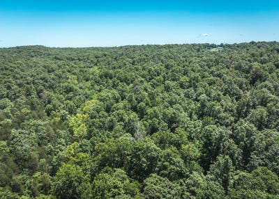 /international/us/69-acres-off-hillside-rd-de-soto-mo-110092269513/