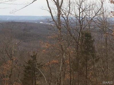 /international/us/31-simms-road-park-hills-mo-110096497015/