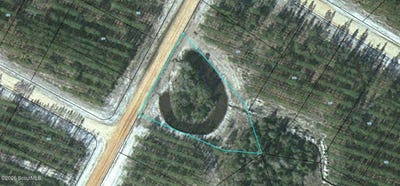 /international/us/satilla-plantation-lot-143-waynesville-ga-110109890404/