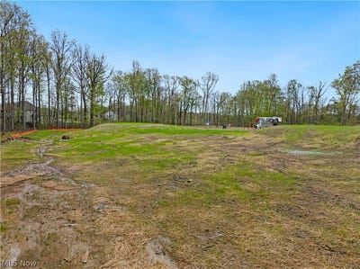 /international/us/9533-river-birch-run-brecksville-oh-110108034332/