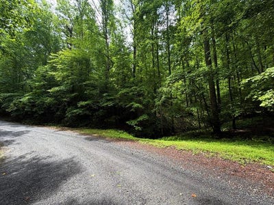 /international/us/lt-144-alcan-way-ellijay-ga-110108349538/
